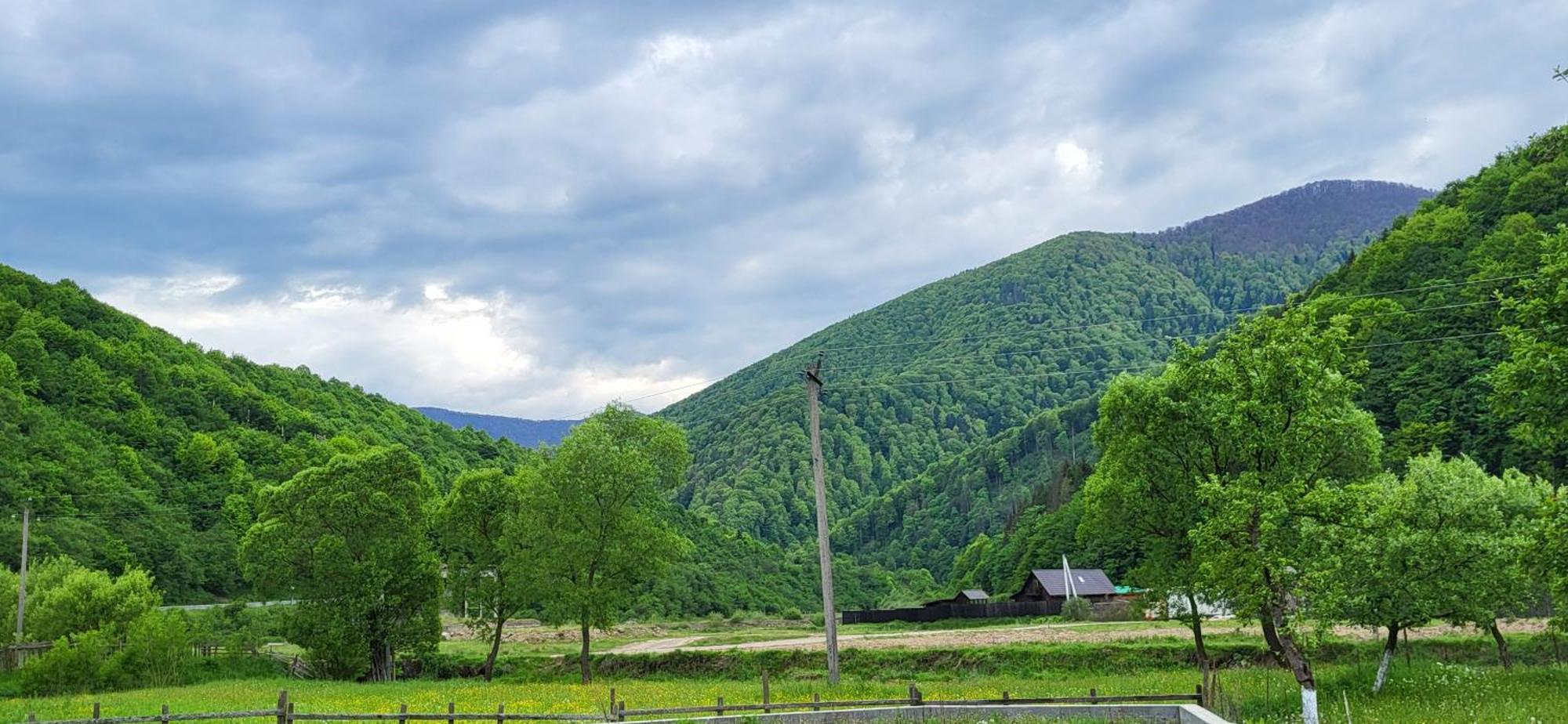 карпати Fest * Mizhhirya (Transcarpathia)