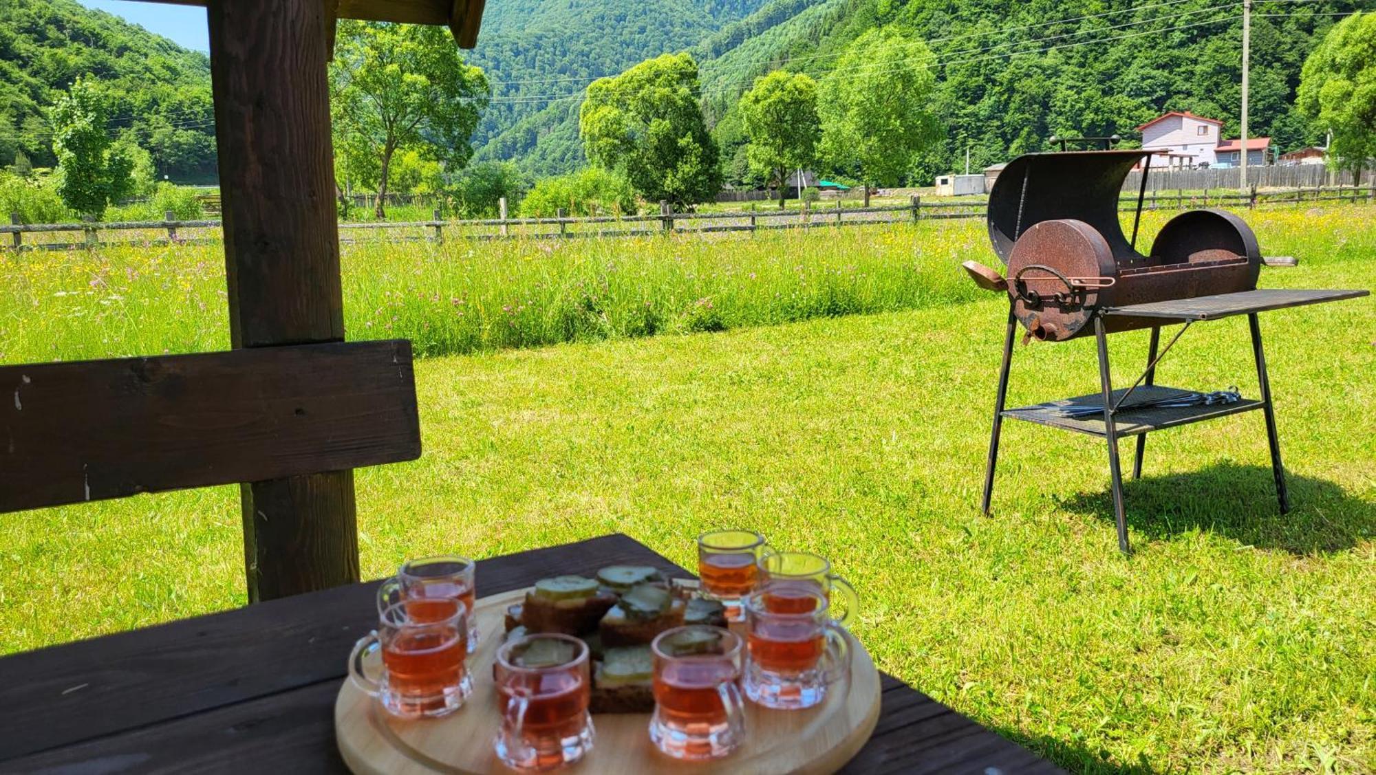 карпати Fest