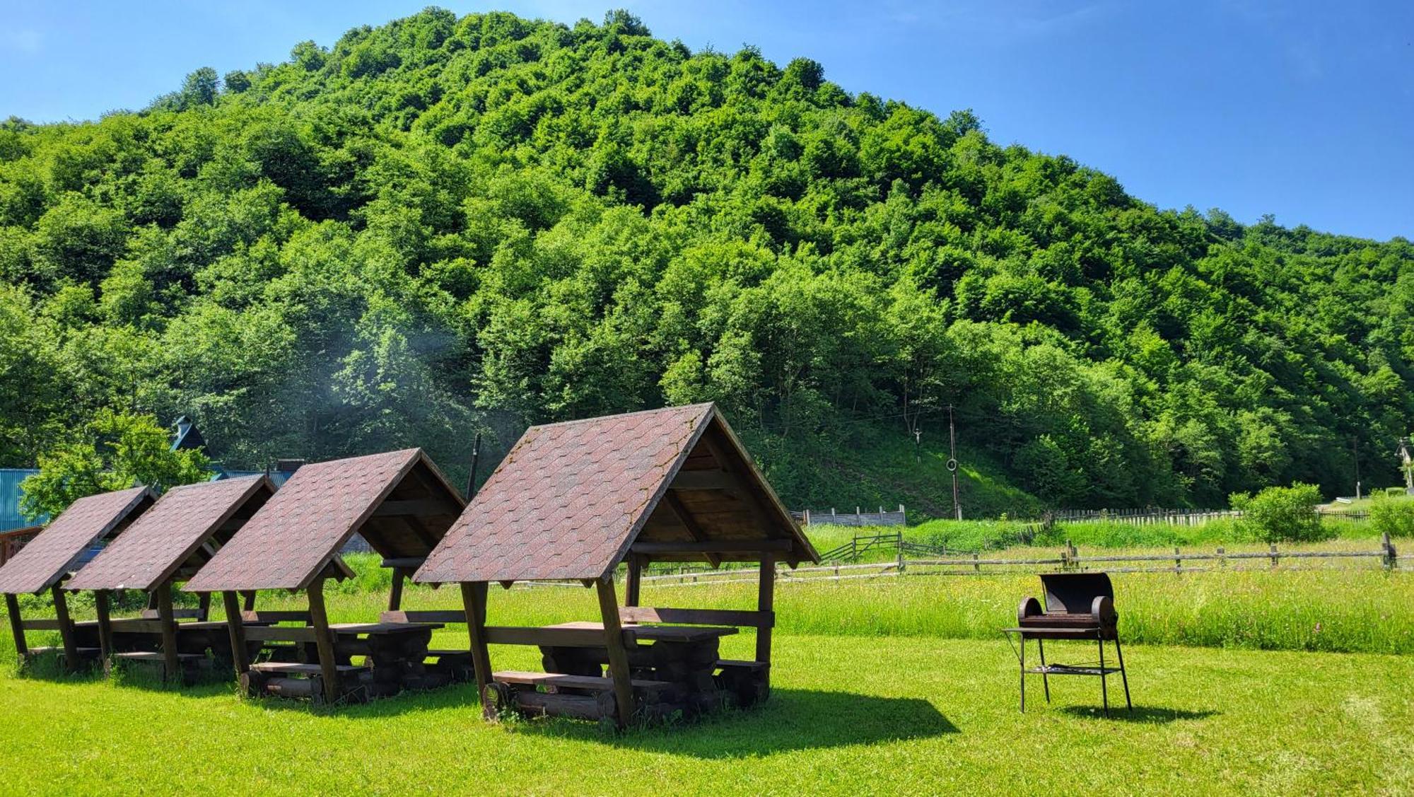 Villa карпати Fest Mizhhirya (Transcarpathia)