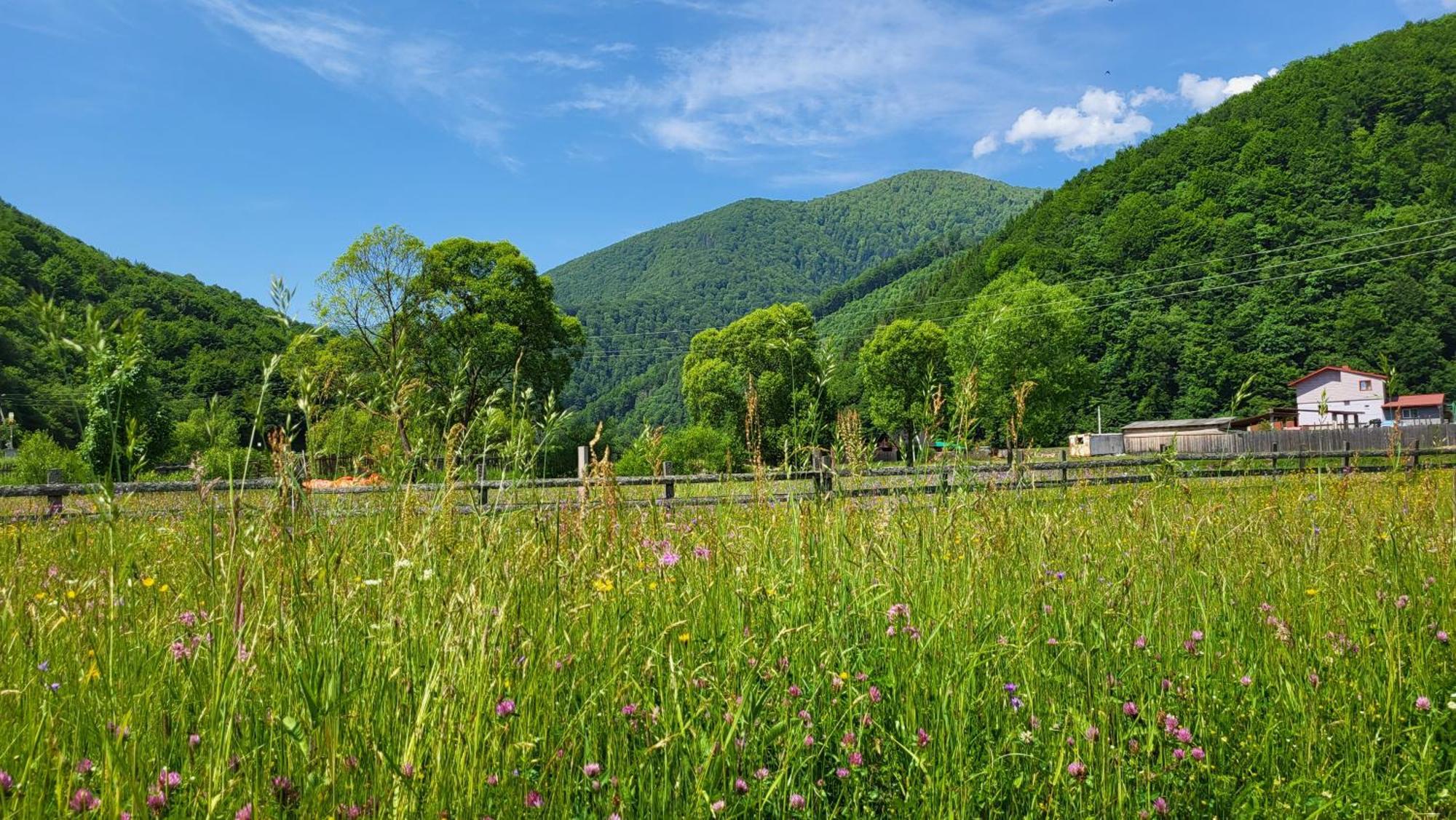Вилла карпати Fest Mizhhirya (Transcarpathia)