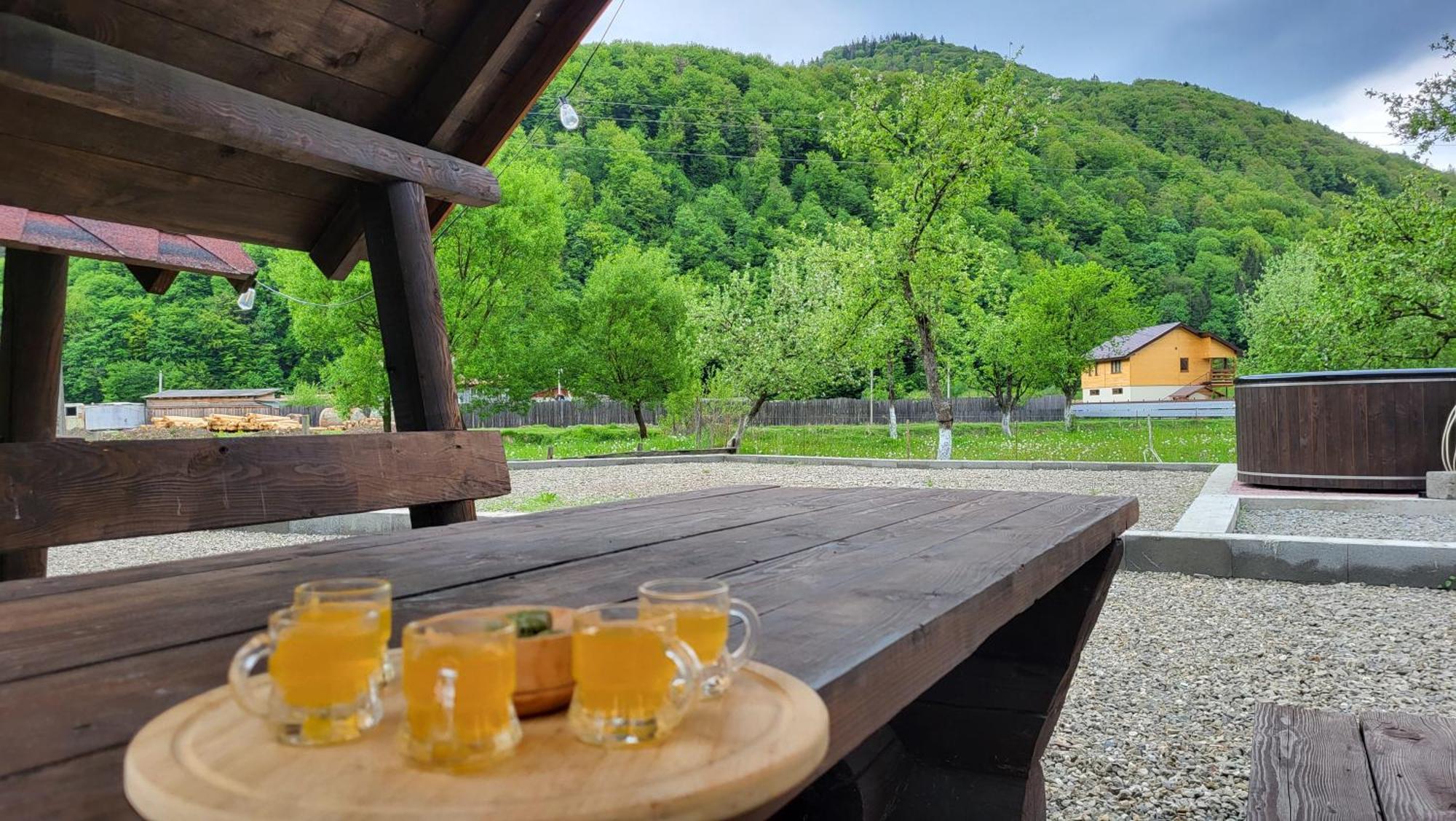 карпати Fest Mizhhirya (Transcarpathia)