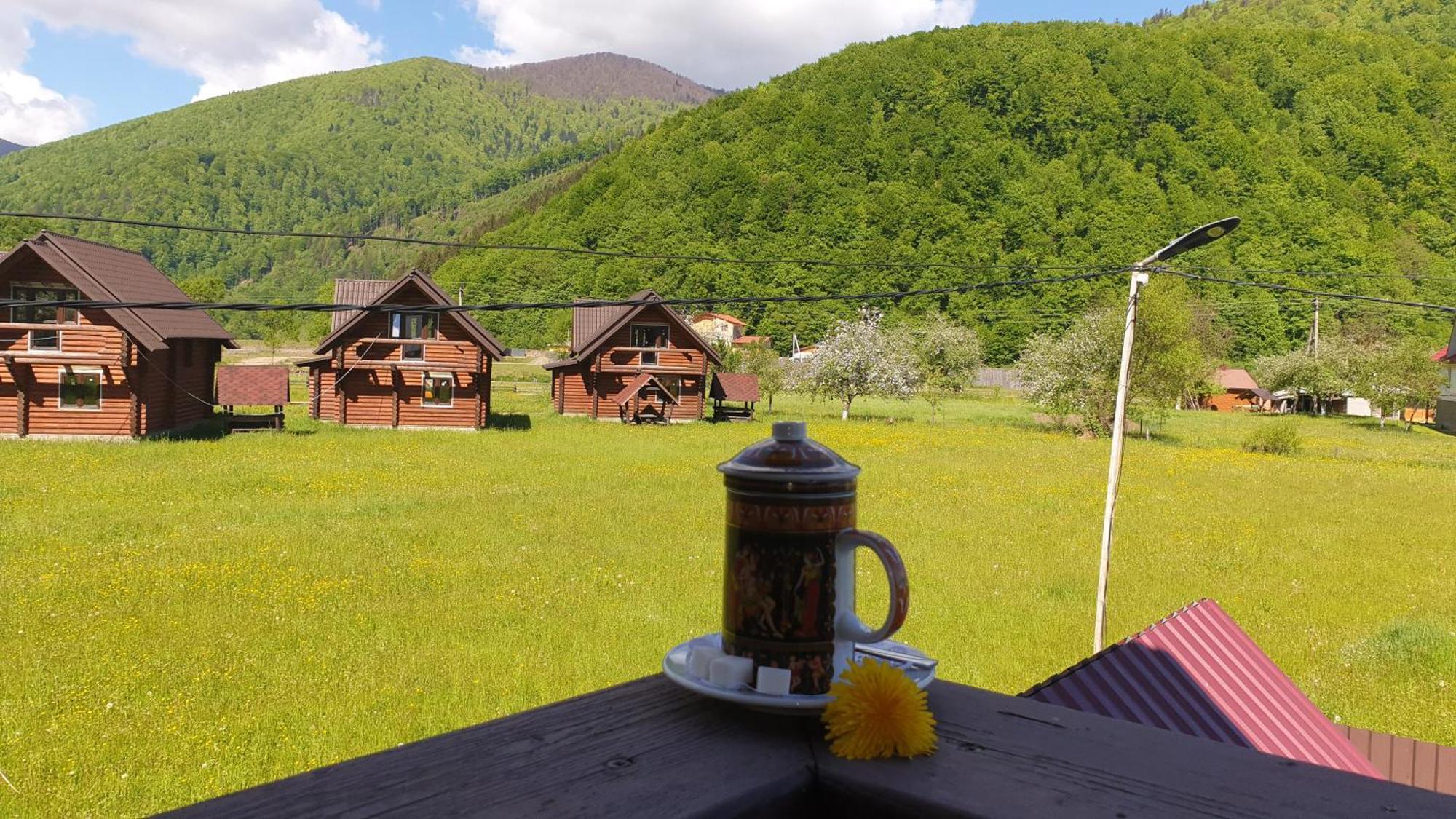 карпати Fest Mizhhirya (Transcarpathia)